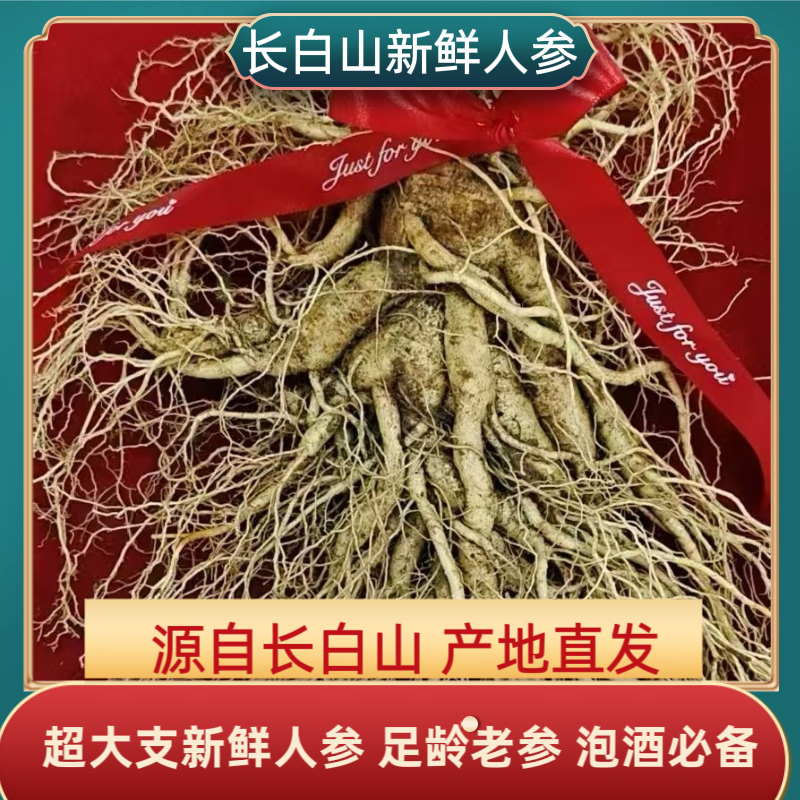 原产地 长白山新鲜人参鲜人参【优质 单支大规格】送礼泡酒吉林产地