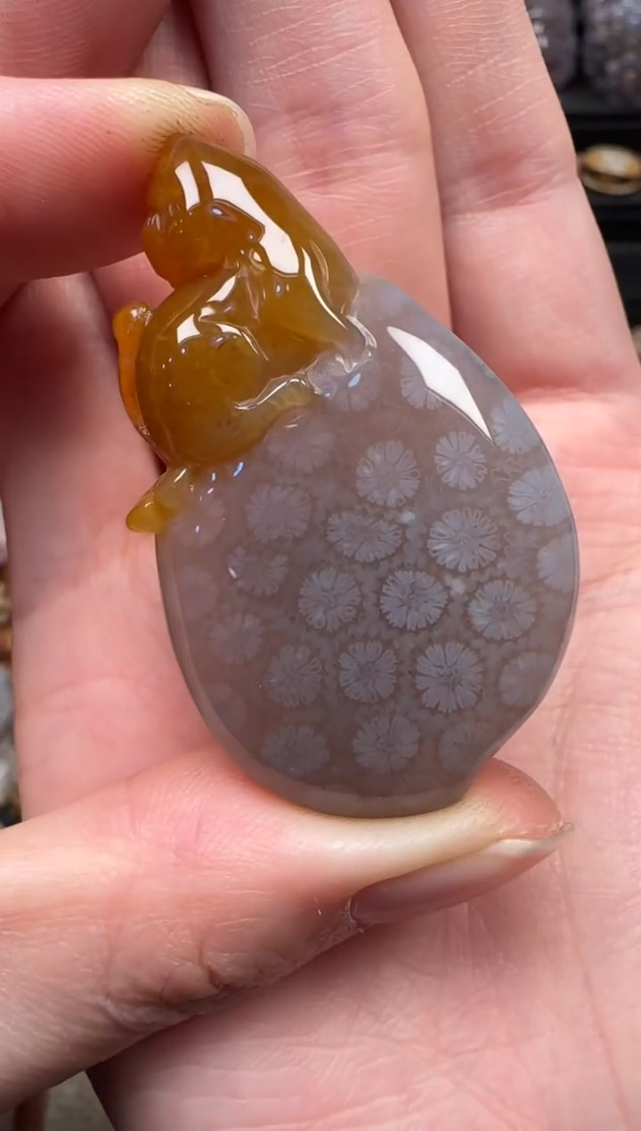 颈饰未镶嵌硅化珊瑚（珊瑚玉）193