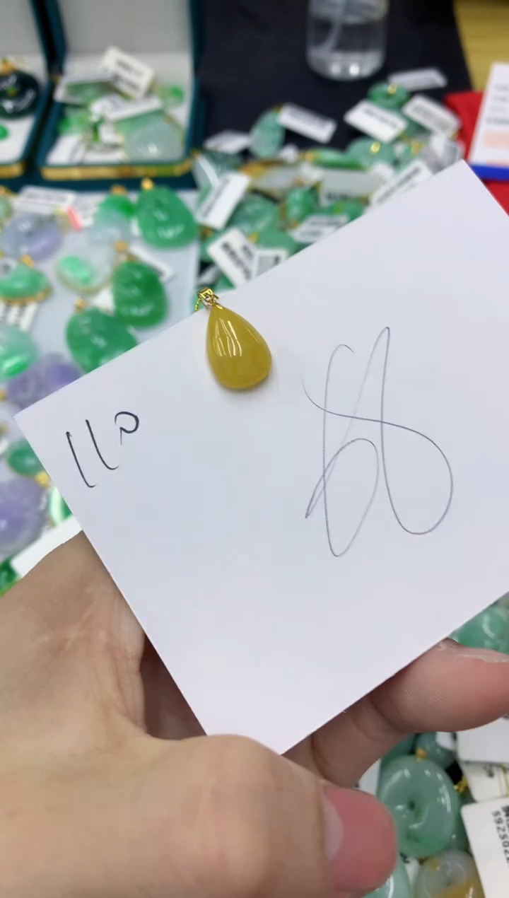 【闪购商品】翡翠颈饰18K金镶嵌1111111111