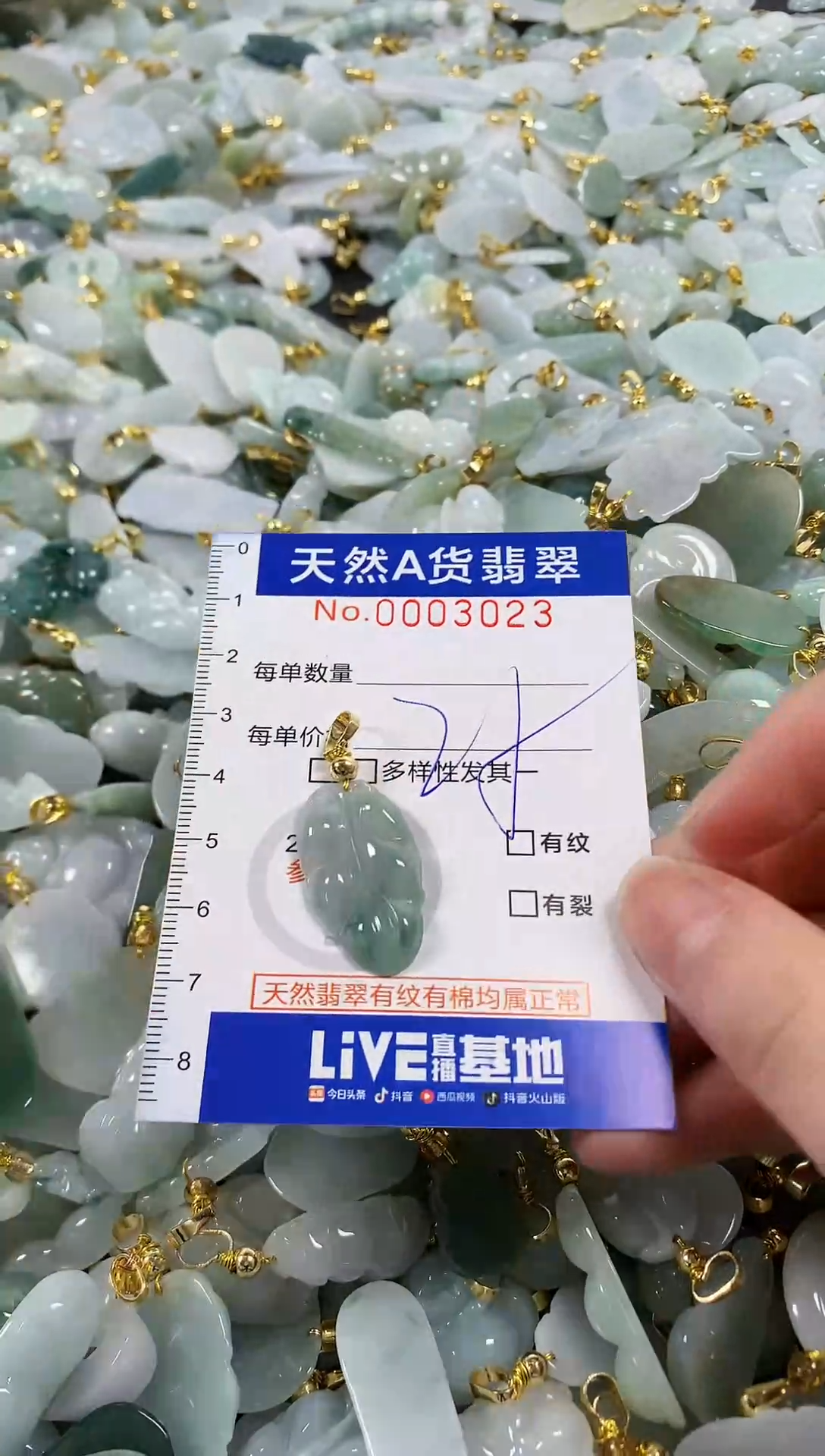 颈饰未镶嵌翡翠天然a货翡翠