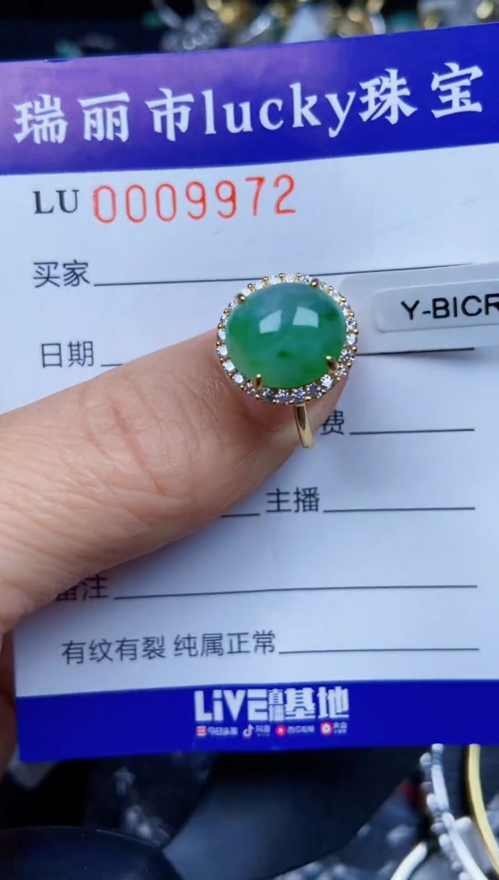 【闪购商品】翡翠颈饰银S925镶嵌9972