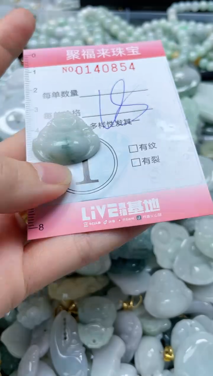 【闪购商品】翡翠颈饰未镶嵌闪购0140854
