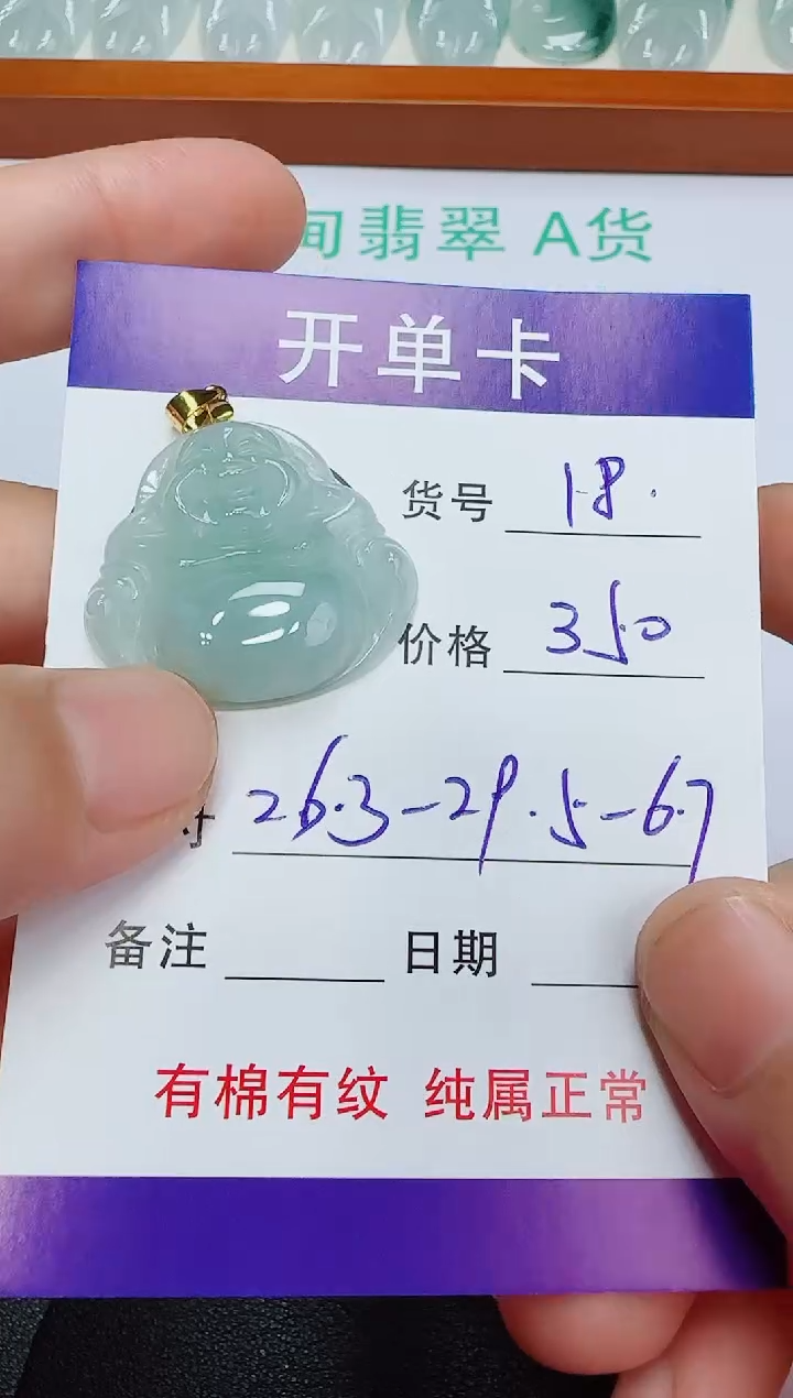 翡翠未镶嵌吊坠(赠链)18