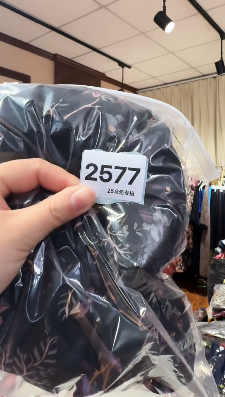 再生纤维素纤维文**清（2577）