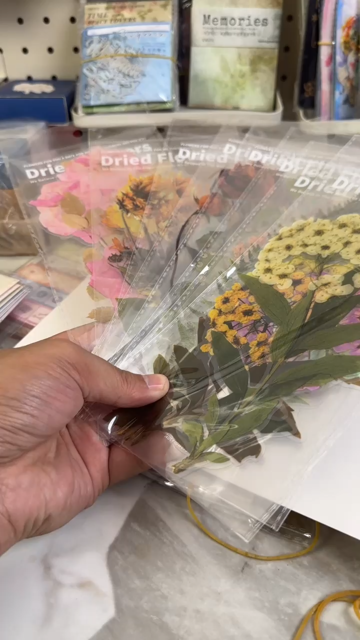 1-5 周末花店贴纸 8包