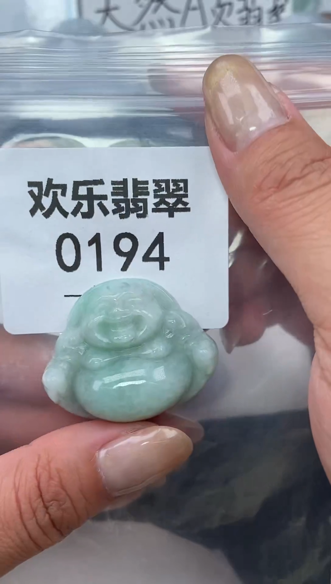 颈饰未镶嵌翡翠缅甸天然翡翠0194