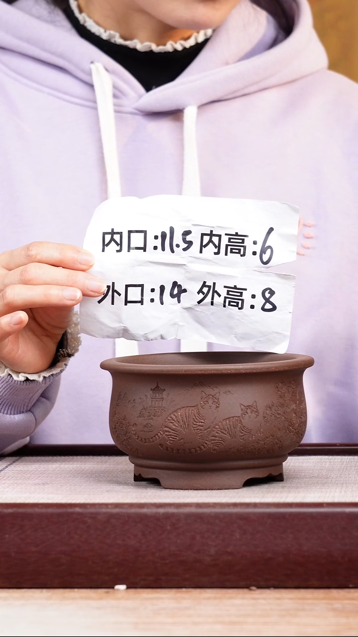 紫砂花盆紫泥刻绘猫咪迷你矮圆盆一只无托