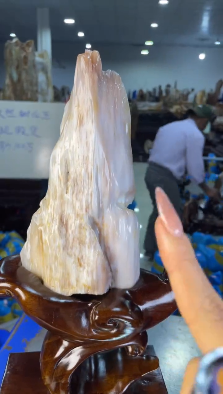 未镶嵌摆件硅化玉21