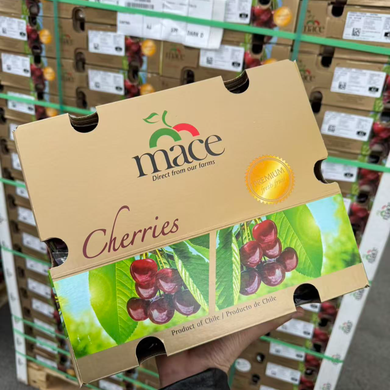 海运 4J  智利进口桑提娜车厘子 5斤装 内附果径卡×