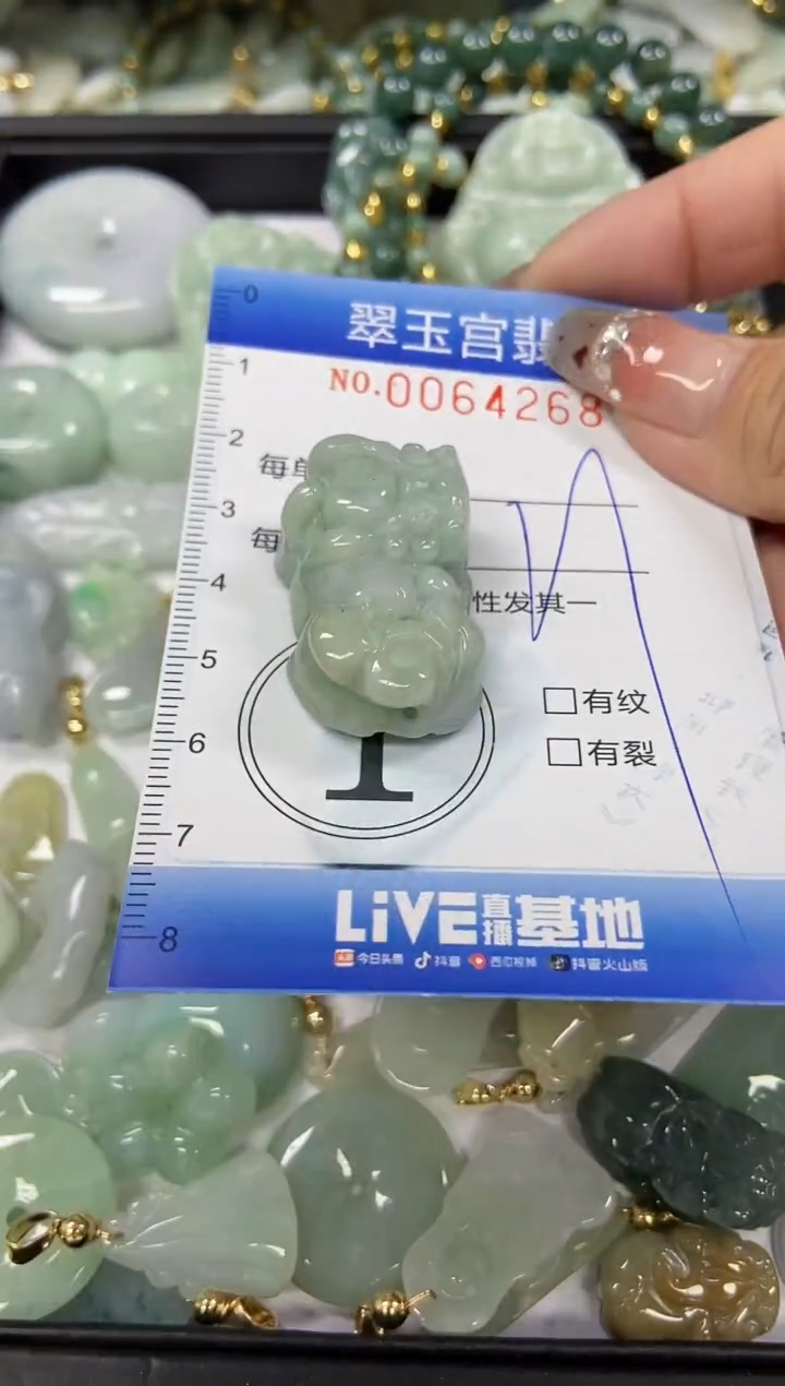 【闪购商品】翡翠颈饰未镶嵌闪购商品0064268