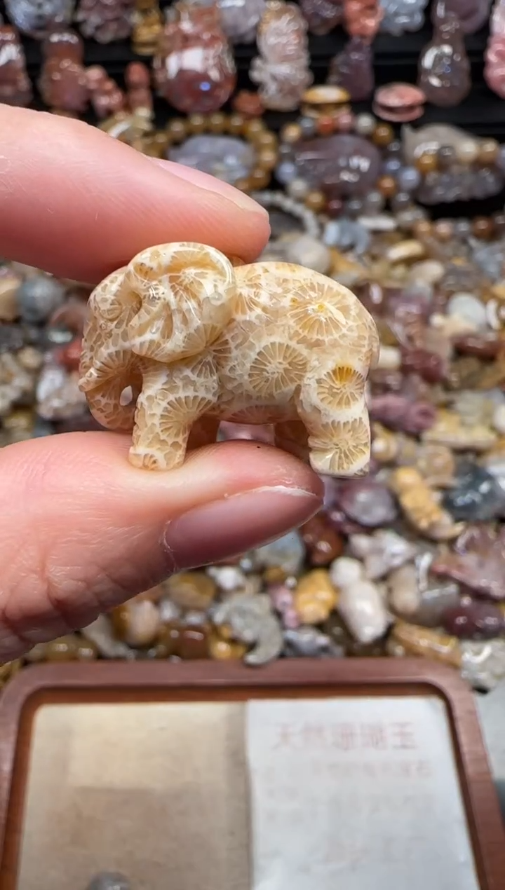 颈饰未镶嵌硅化珊瑚（珊瑚玉）158