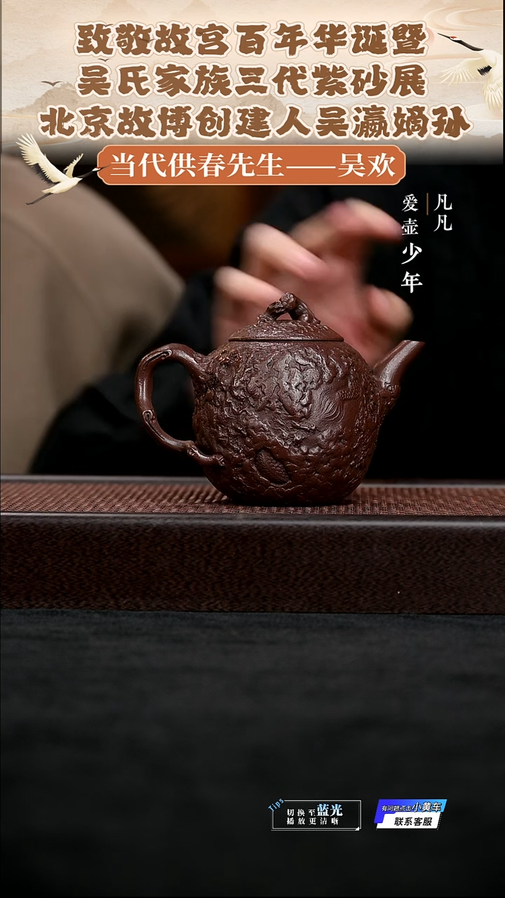 茶壶紫砂CY134吴欢孤叶供春老紫泥250