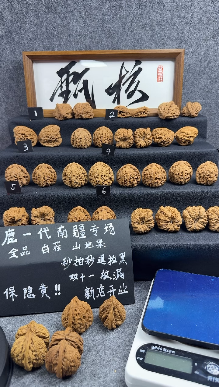 把件文玩核桃樊Z013 高炮大克重