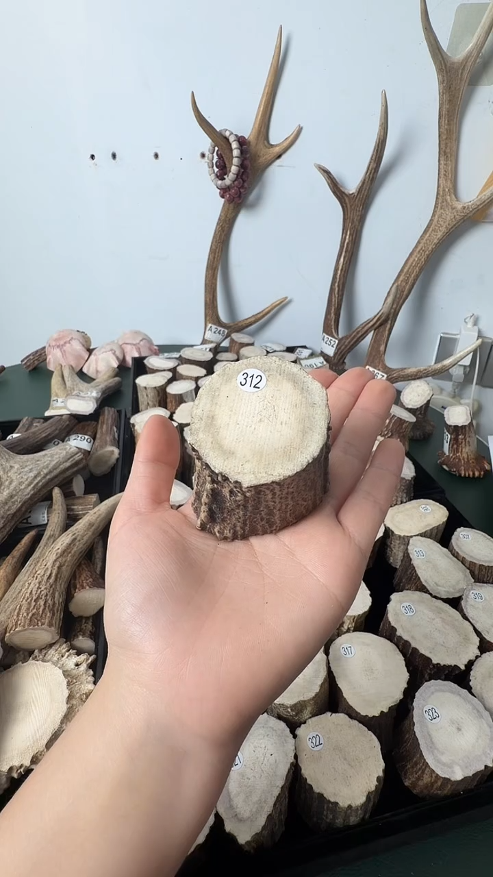 原皮鹿角雕刻料高密度