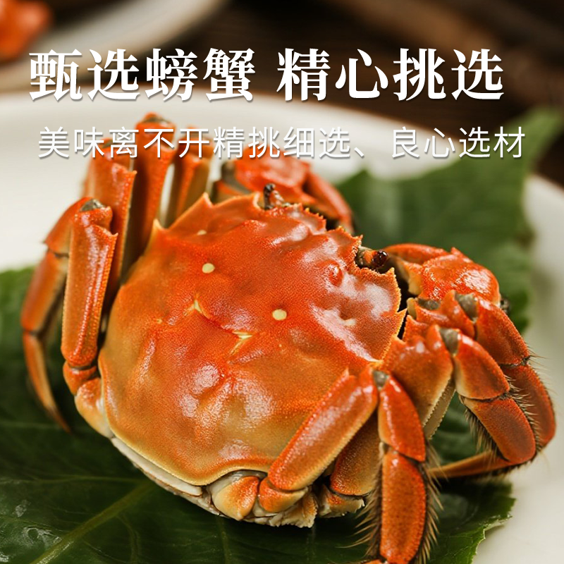 【鲜】生螃蟹 2.5两 4/8只可选（可蒸）