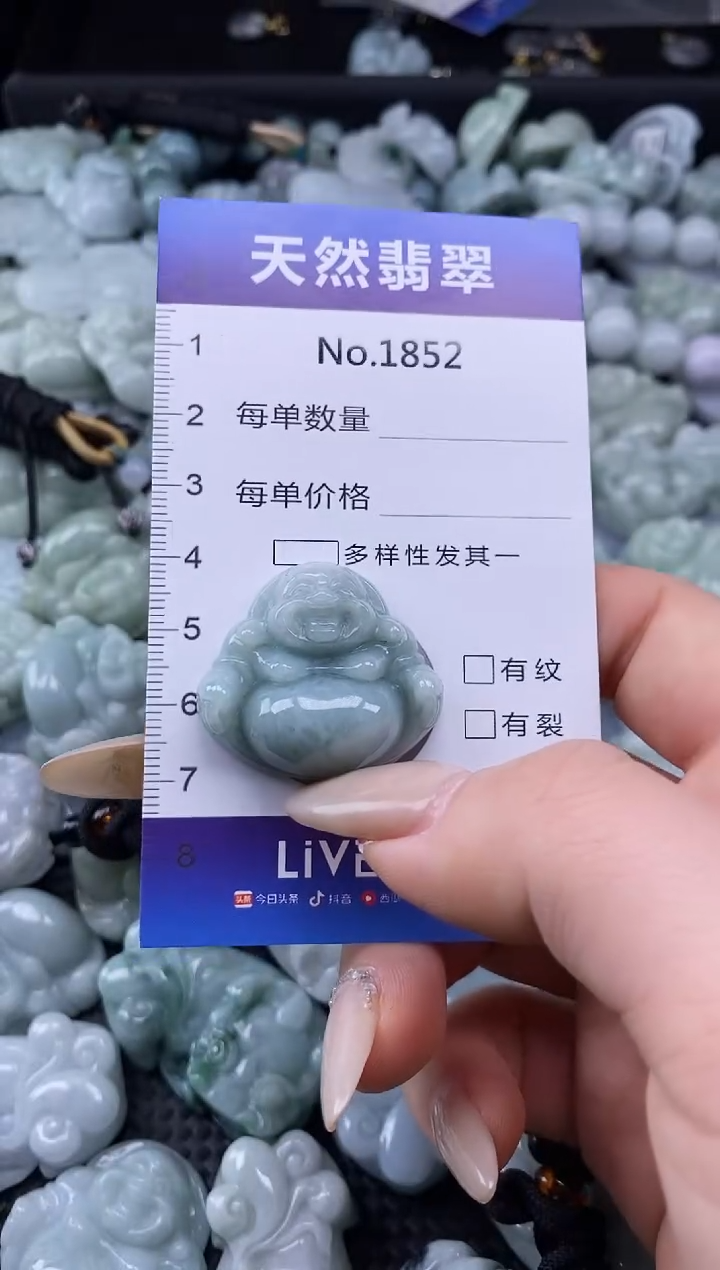 【闪购商品】翡翠颈饰未镶嵌缅甸A货翡翠1852