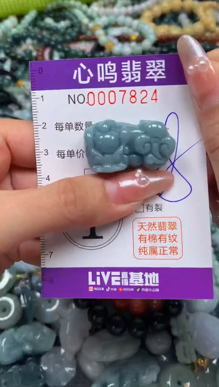 颈饰未镶嵌翡翠闪购007824