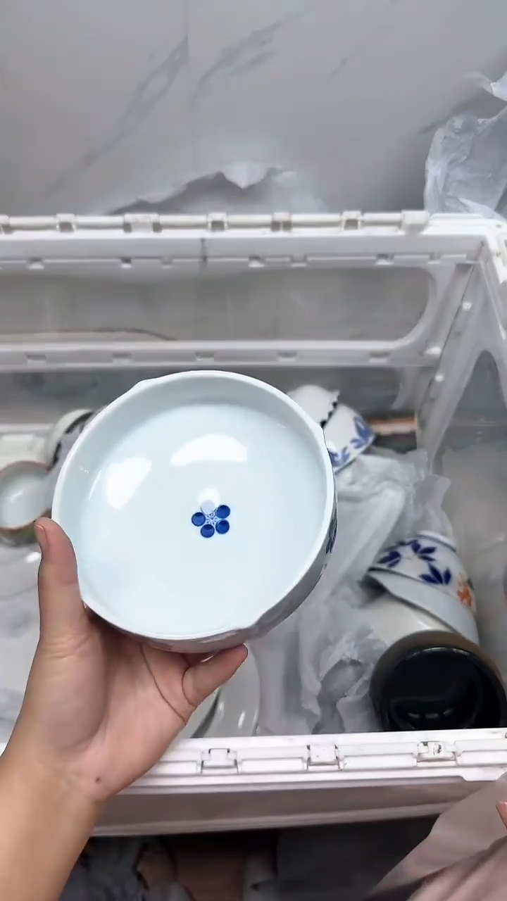 【闪购商品】317回流瓷器默认微瑕，18.8包邮