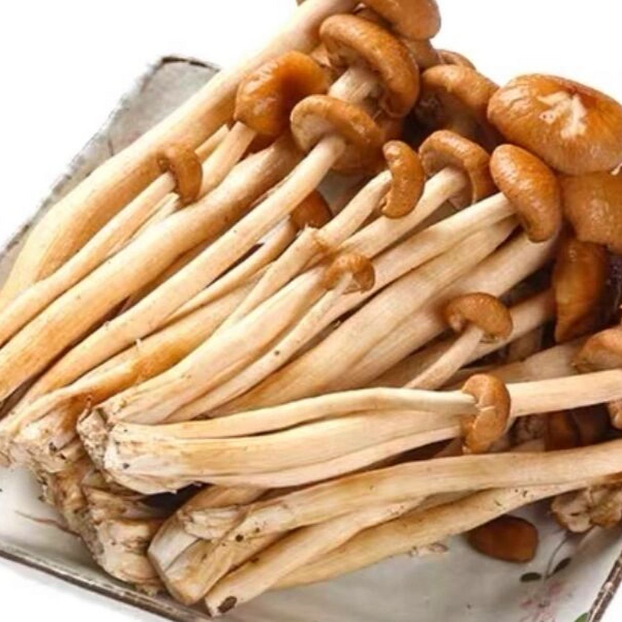 【茶树菇】中号250g±（小波）（配送会有部分帽子掉）