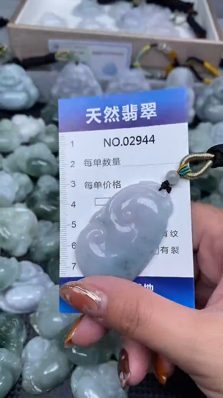 颈饰未镶嵌翡翠纯天然A货翡翠2944