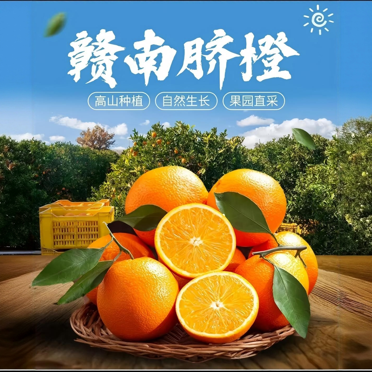 【正宗赣南脐橙】赣州源头产地直发新鲜采摘头茬鲜果孕妇水果安远0