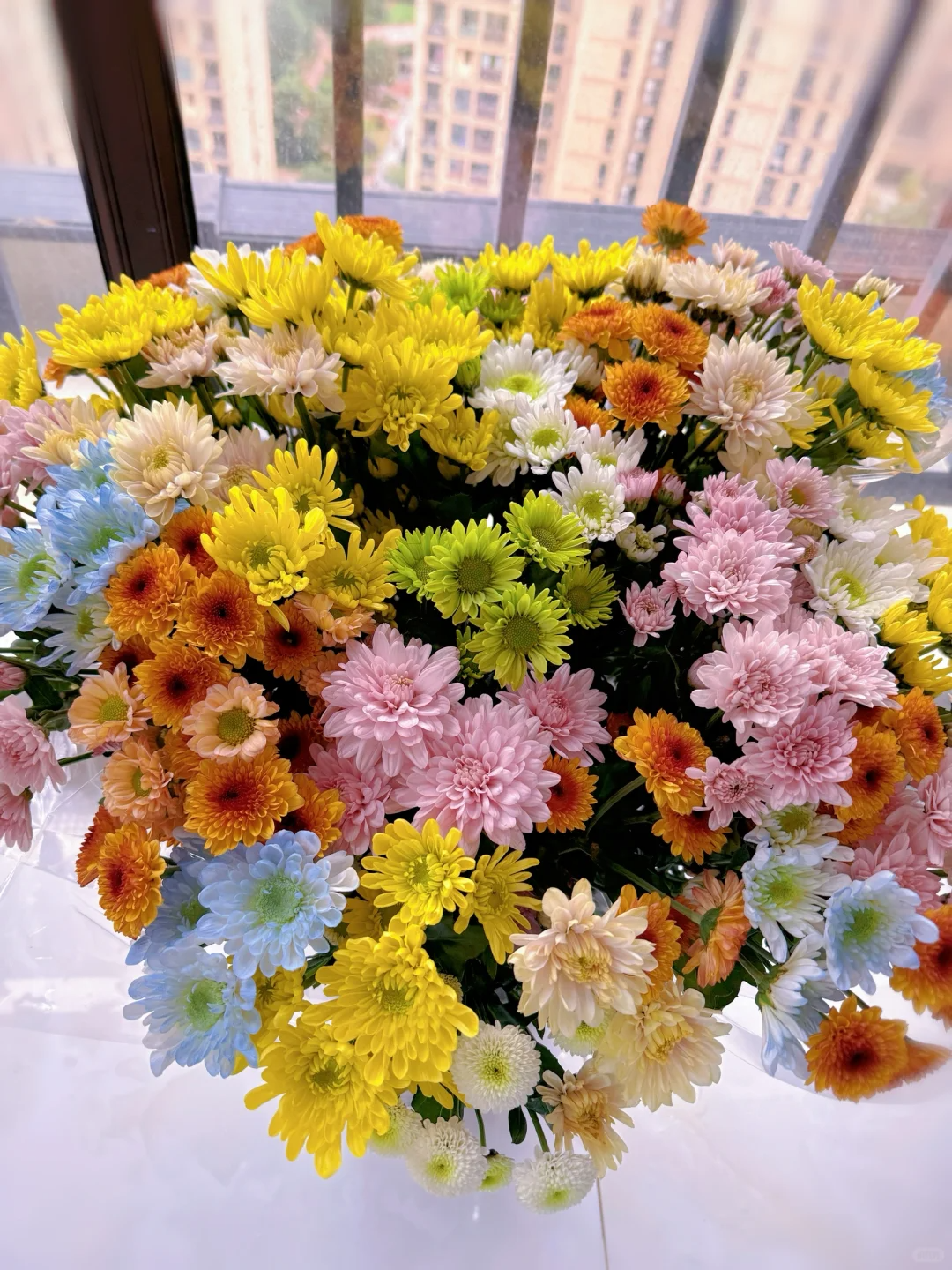 【七彩小菊】混色七彩小菊花期特久 全场任意满两单鲜花包邮（坤）