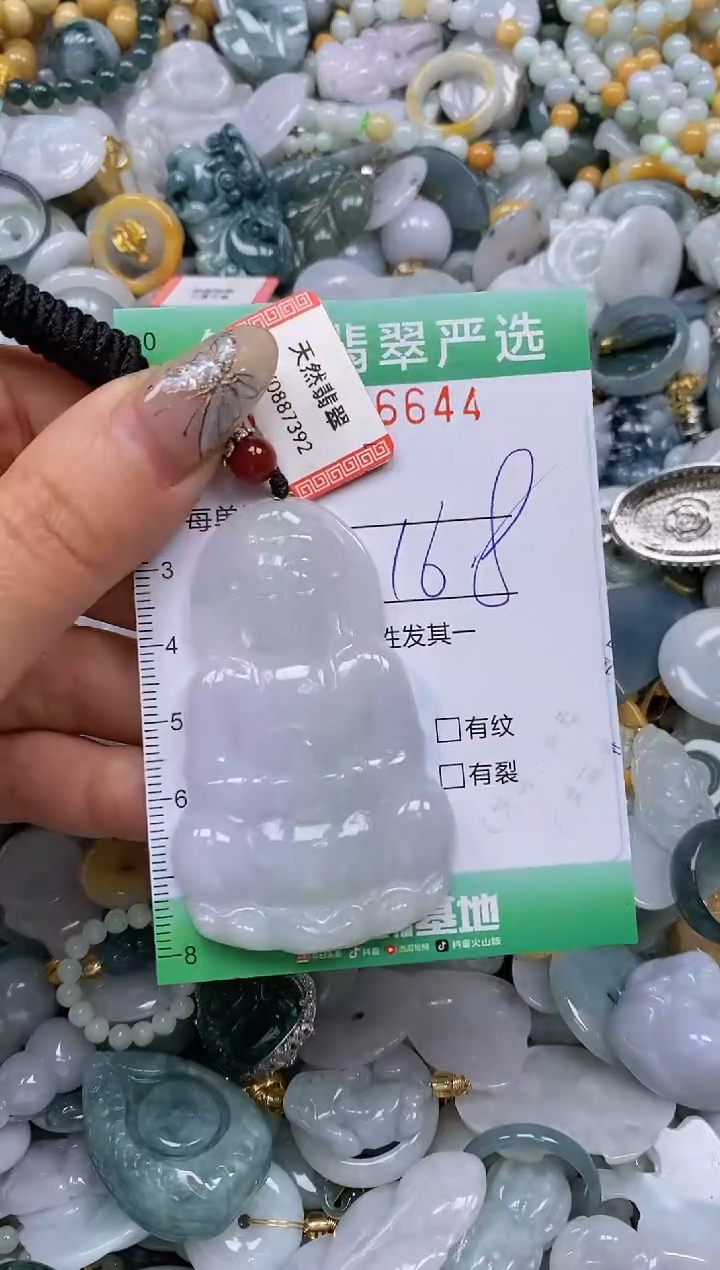 【闪购商品】翡翠颈饰未镶嵌闪购0086644