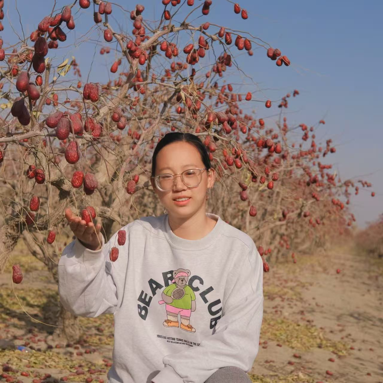 8-10成干新疆和田大枣原生态自然吊干一二级3.5-4公分左右