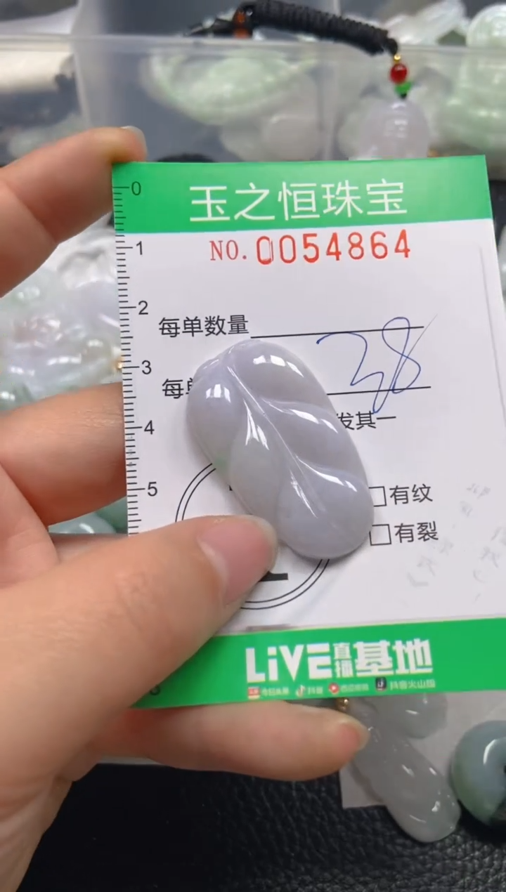 【闪购商品】翡翠未镶嵌颈饰闪购0054864