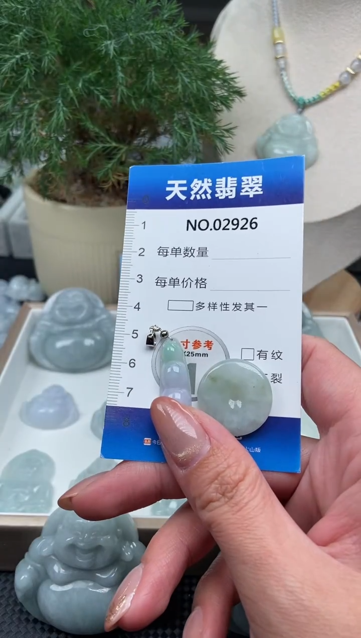 颈饰未镶嵌翡翠纯天然A货缅翡2926