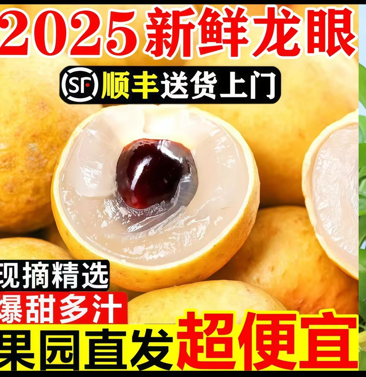 【顺丰冷链】 广东龙眼新鲜储良鲜果当季新鲜爆甜桂圆一整箱