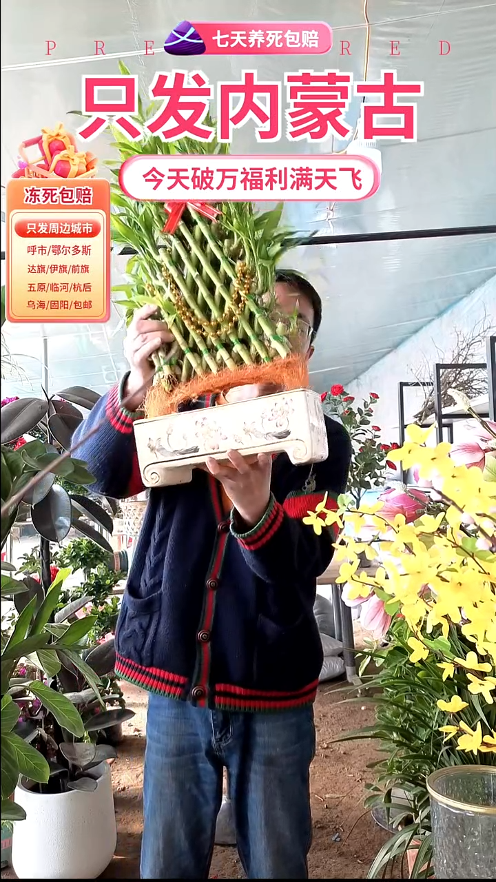 完全开放陶瓷节节高
