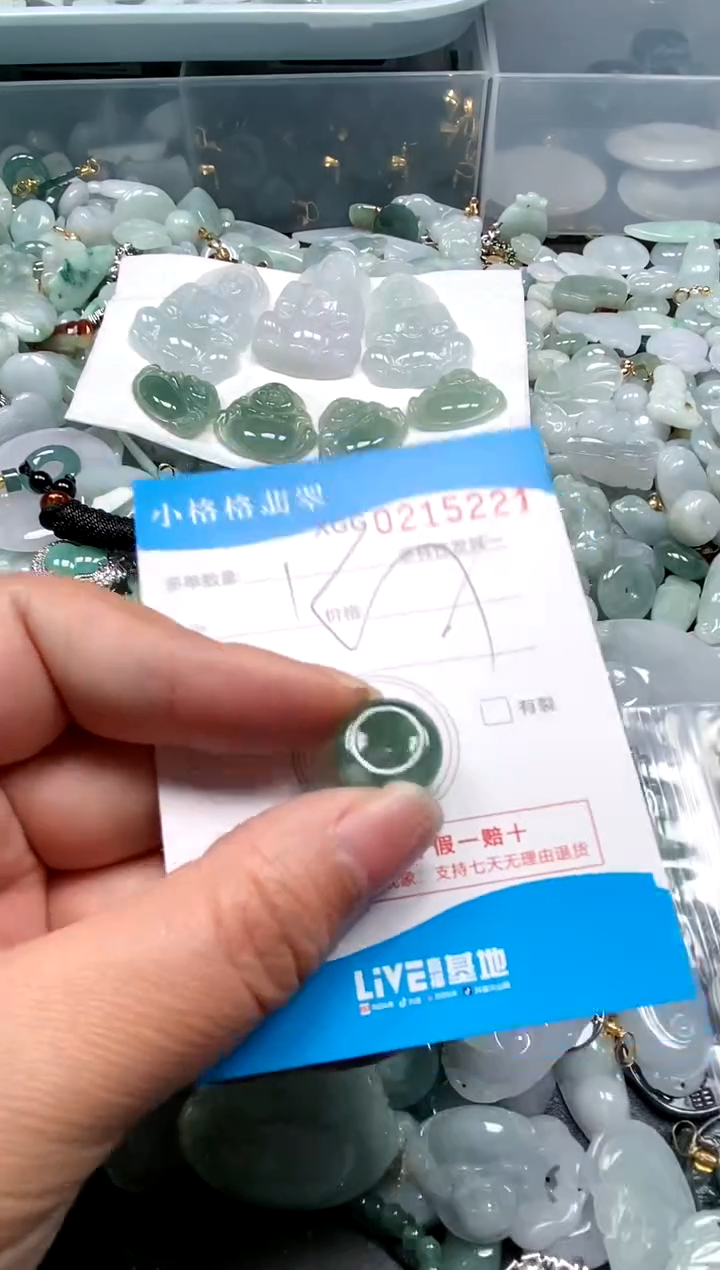 【闪购商品】翡翠颈饰未镶嵌闪购商品0215221