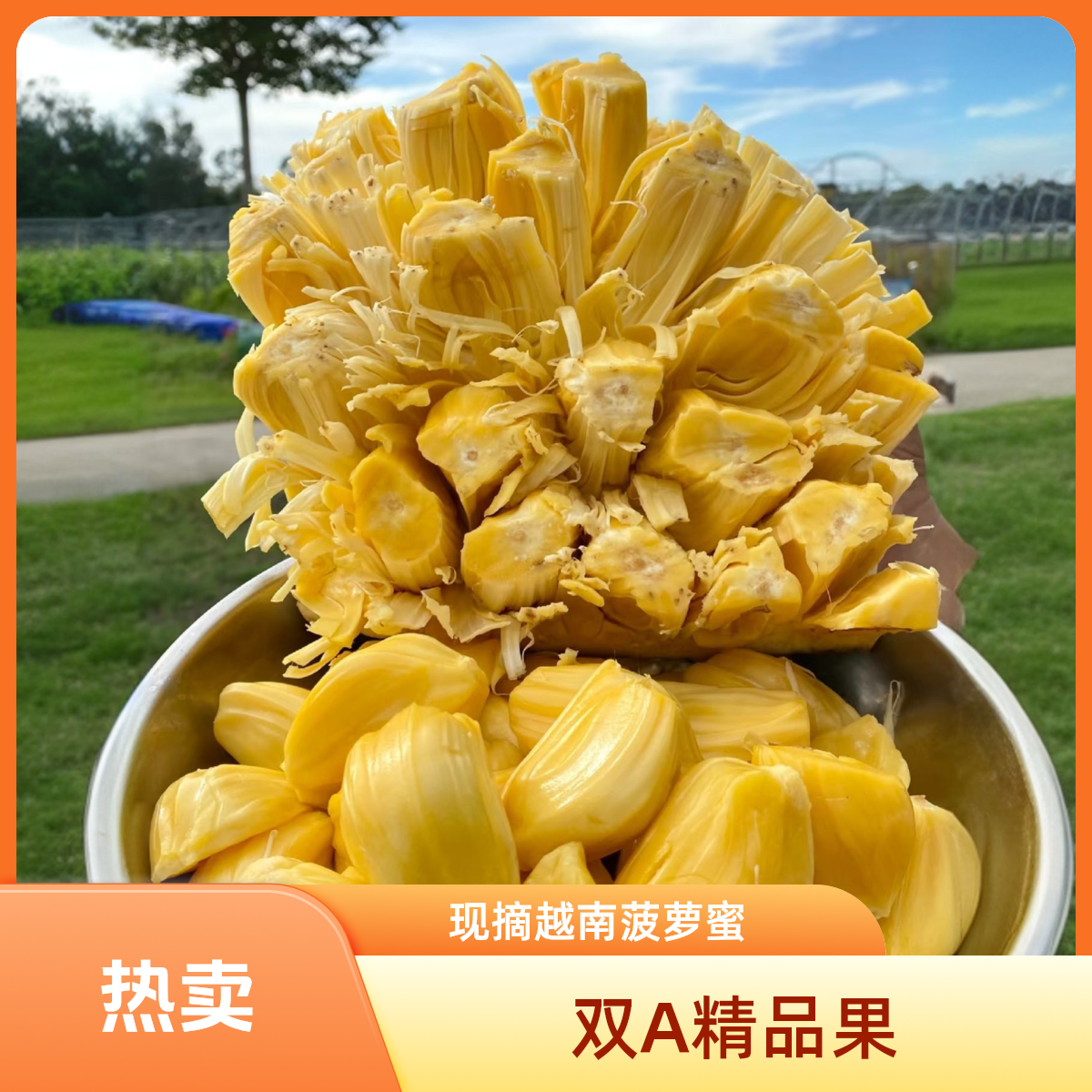 正宗越南红菠萝蜜新鲜进口水果顺丰包邮送到家热带水果红肉菠萝蜜海南省