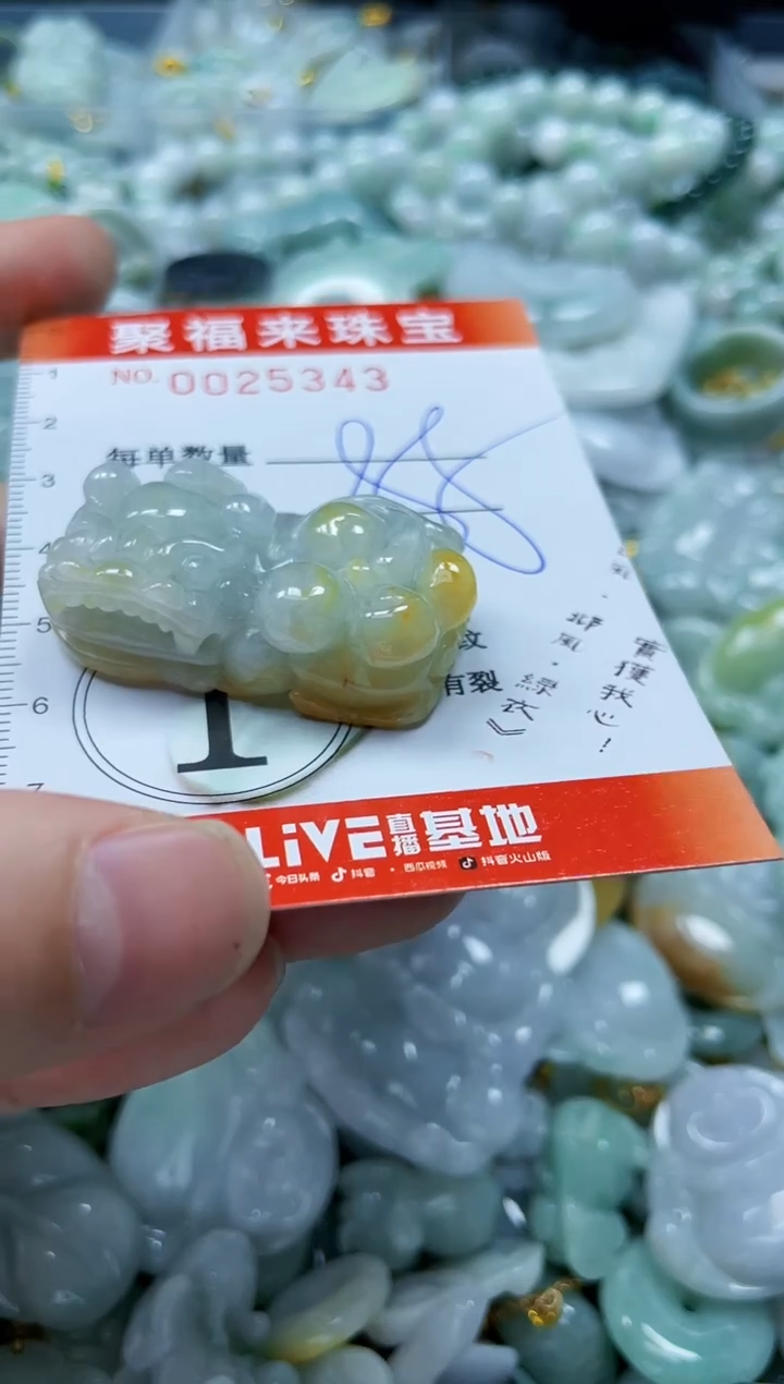 【闪购商品】翡翠颈饰未镶嵌闪购0025343