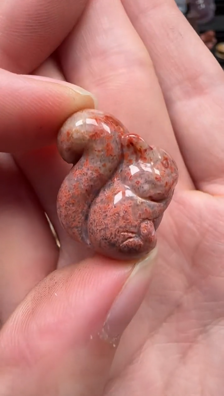 颈饰未镶嵌硅化珊瑚（珊瑚玉）179