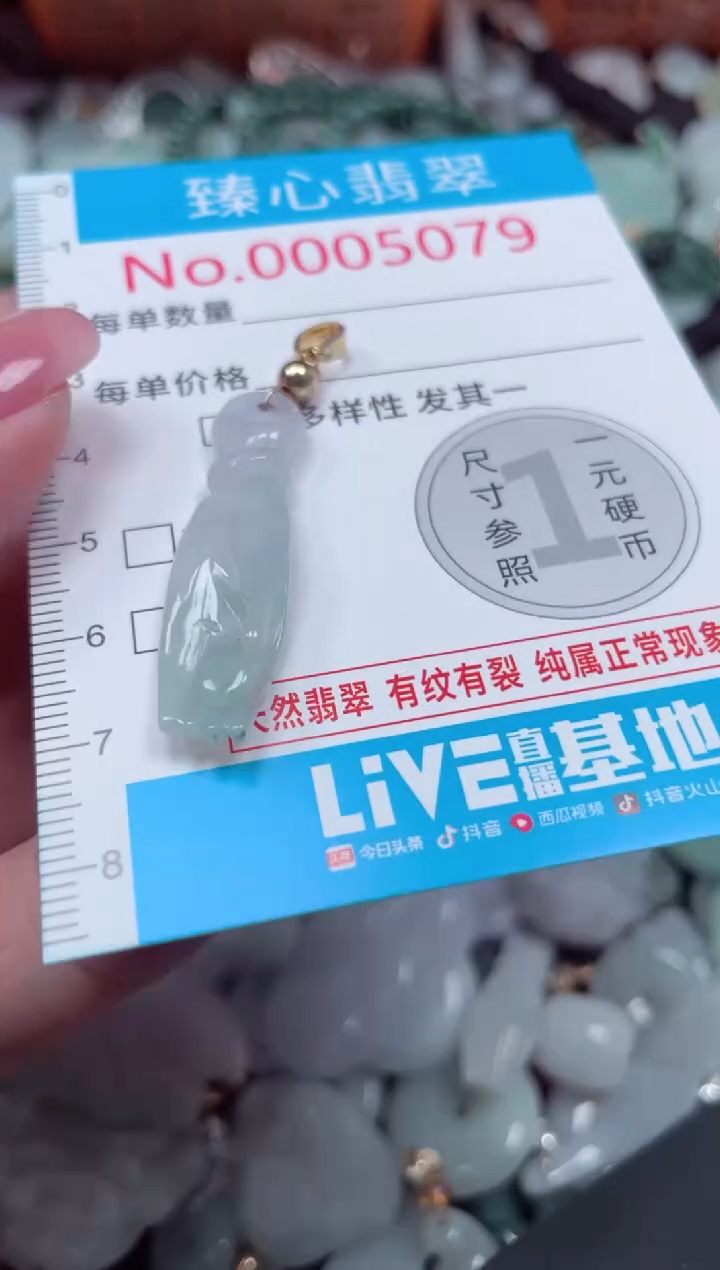 颈饰未镶嵌翡翠5079