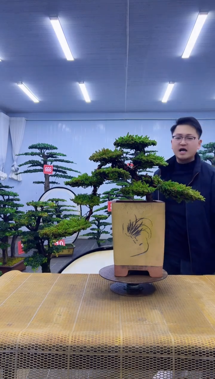 无花朵0000000000000000