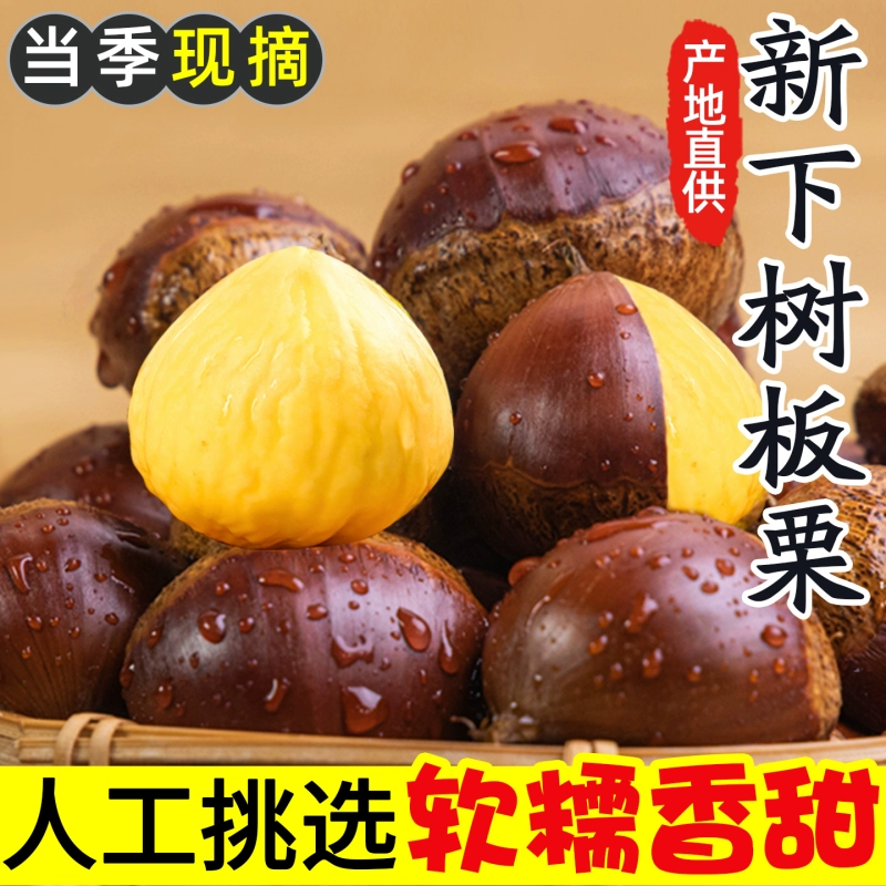 【今年新货】2025现摘丹东板栗生栗子新鲜栗子难剥皮蔬菜批发送栗爪