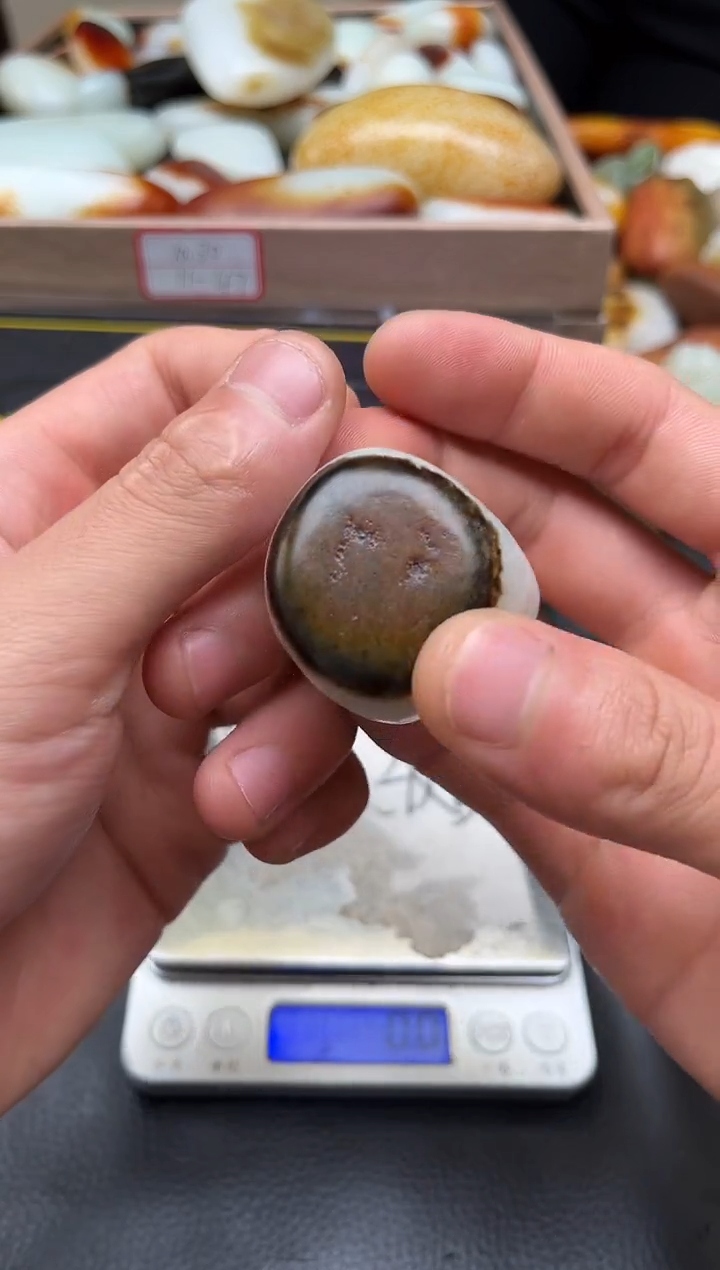 未镶嵌和田玉挂件海****圻YL-HH-11.16-13