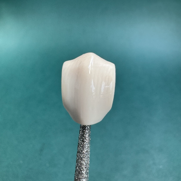 M2598 天然猛犸牙6A鲨鱼背三通 10×9 支持鉴定 假一罚四