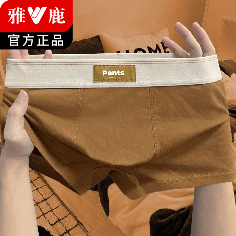 雅鹿内衣男士内裤男纯棉平角裤衩青年男生透气大码运动四角短裤头商品图