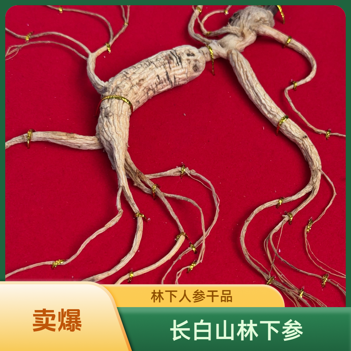 林下干参-【干参】切片、打粉、煲汤、入汤剂-多选链接