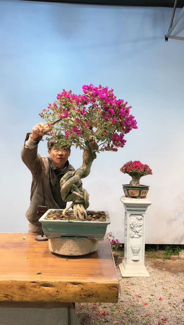 【闪购商品】xzscsA910