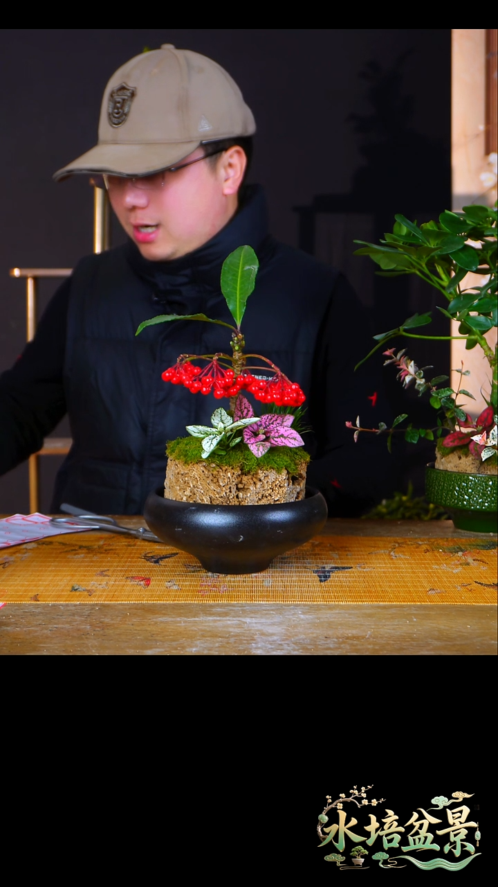 石云社一物一拍组合盆栽21