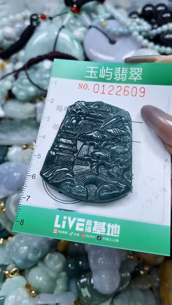 翡翠未镶嵌颈饰闪购0122609