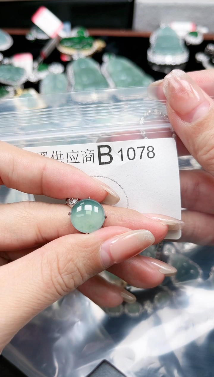 【闪购商品】翡翠颈饰未镶嵌1078赠皮绳