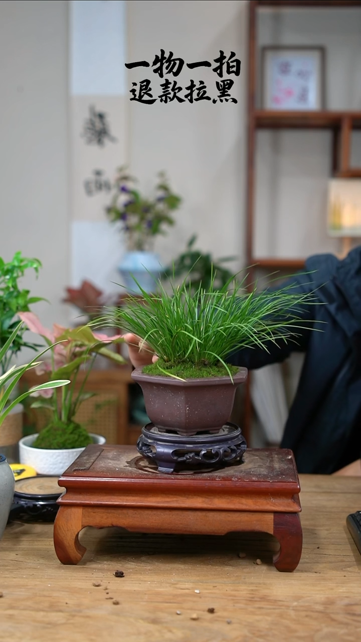 完全开放诸**宜236虎须