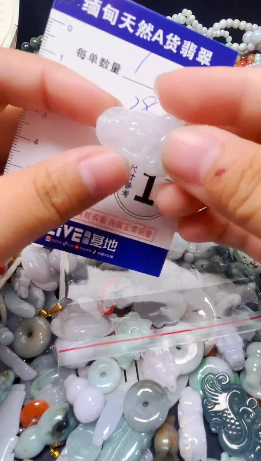 颈饰未镶嵌翡翠18