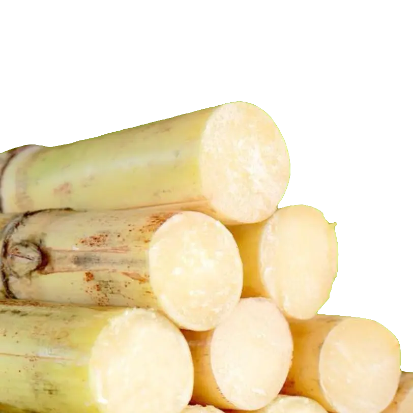 广西贵港木格甘蔗农家自种清甜皮薄多汁水果甘蔗现砍直发新鲜应季